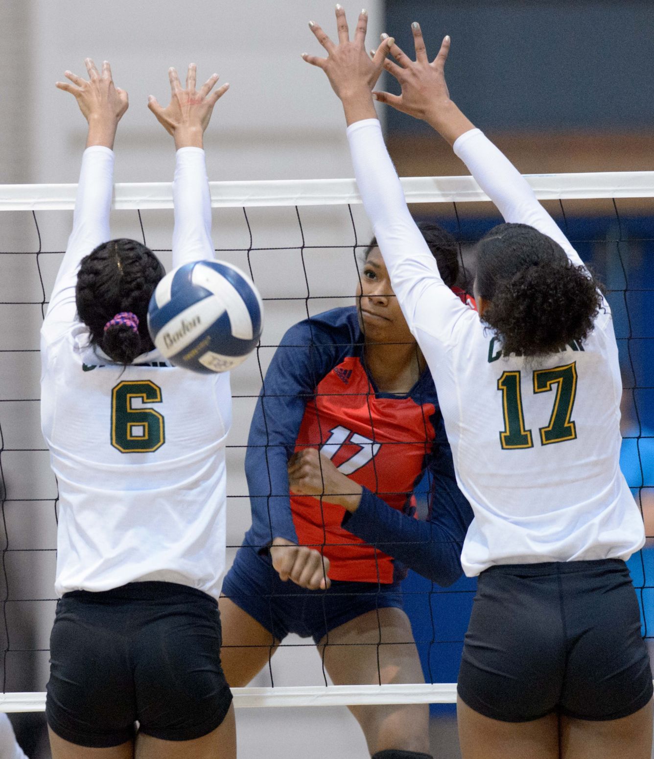 volleyballdivisionII.111217.009.JPG